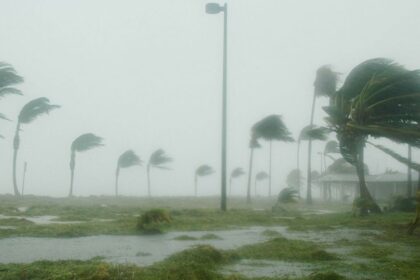 Tropical Storm 'Jerry' likely to hit Florida Here's what forecasters predict. (