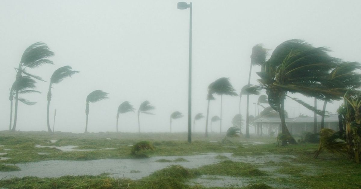 Tropical Storm 'Jerry' likely to hit Florida Here's what forecasters predict. (