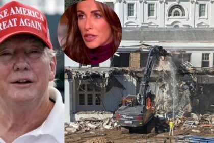 Trump's White House renovation is being criticized