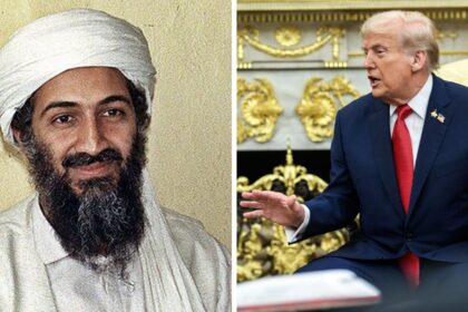 Osama bin Laden and Donald Trump