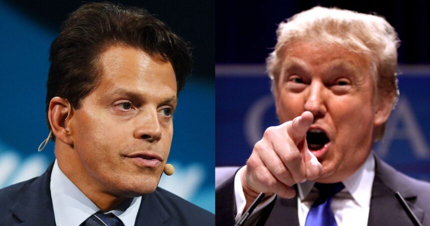 Anthony Scaramucci - Donald Trump