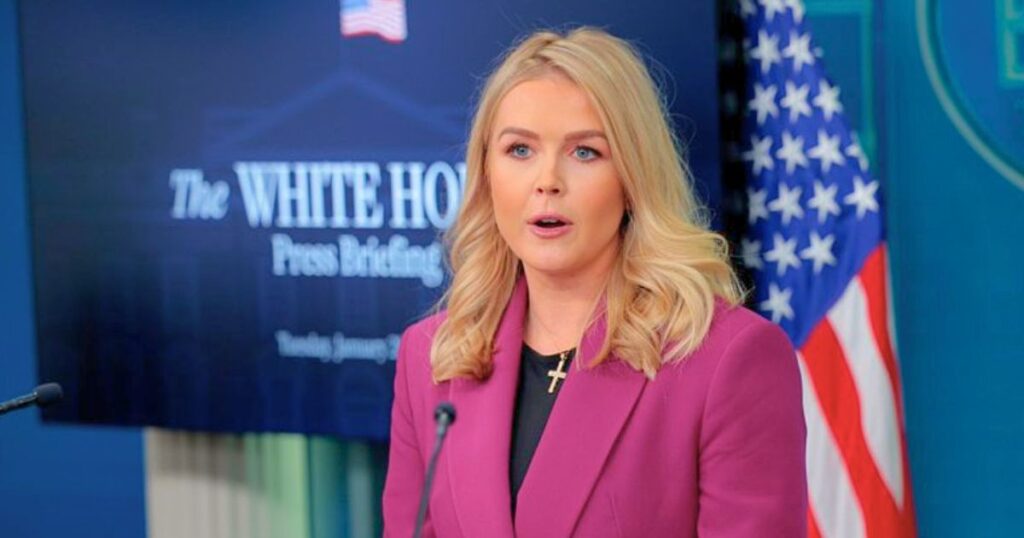 Karoline Leavitt speaking during a briefing at the White House