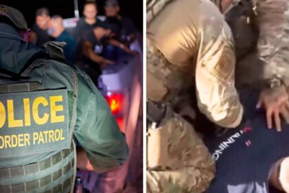 Border Patrol Agents accused of injuring 67-year-old US citizen