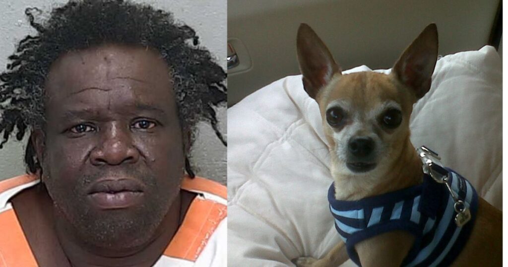 A Florida man killed his girlfriend's dog
