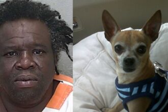 A Florida man killed his girlfriend's dog