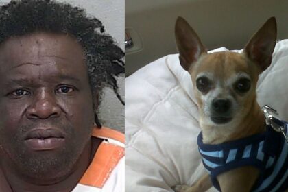 A Florida man killed his girlfriend's dog