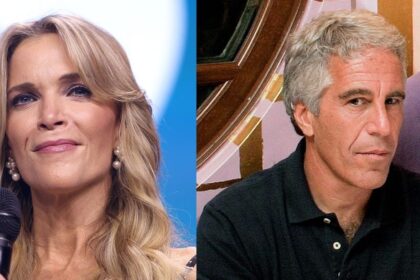 megyn kelly defends epstein