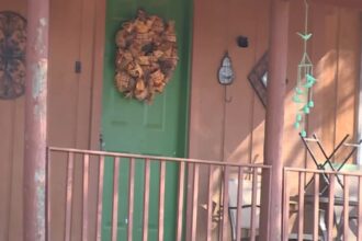 An obsessed co-worker stabbed a woman in Oklahoma (Image via YouTube/WHAS11)