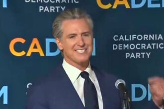 California Governor Gavin Newsom cheers after Prop 50 passes