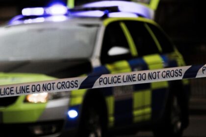 Retired professor kills wife after online lover threatens to leak private images