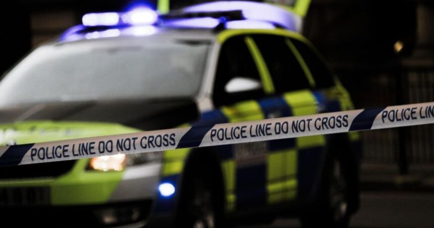 Retired professor kills wife after online lover threatens to leak private images