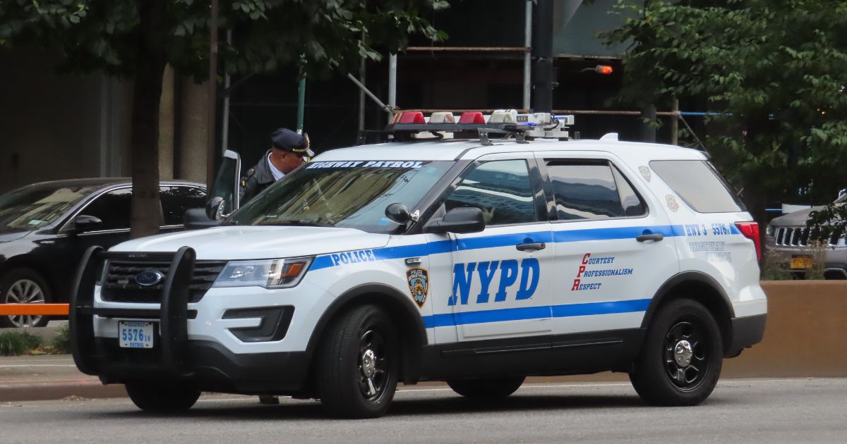 police rescues animals and an elderly woman from a new york home