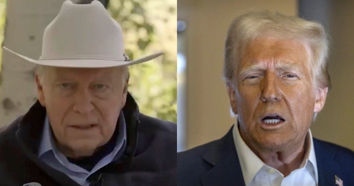 Dick Cheney Called Donald Trump a Coward