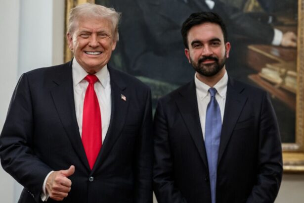 Donald Trump _Zohran Mamdani meeting