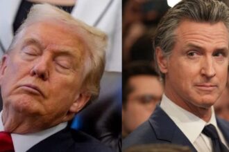 gavin newsom called donald trump- dozy don