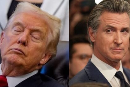 gavin newsom called donald trump- dozy don