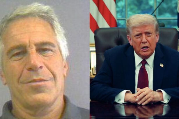 Donald Trump signed the bill to release Epstein files.