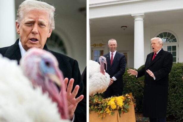 Inside Donald and Melania Trump’s Thanksgiving festivities.