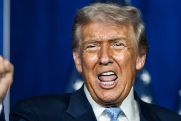 Donald Trump pictured during an event.