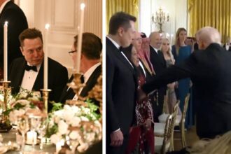Elon Musk attended the White House dinner