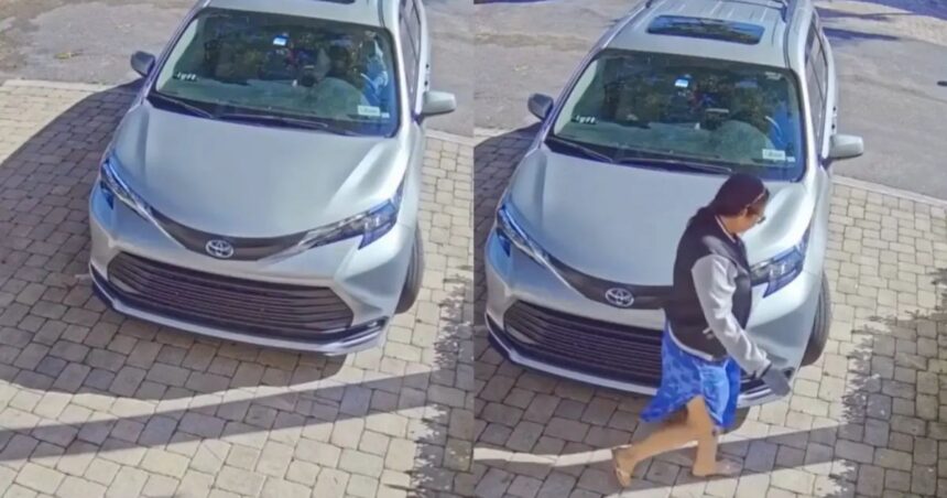 Black Homeowner Complaints About Driver Urinating In His Driveway