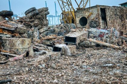 Florida Man Accused of Dumping Mother-of-Four’s Ashes