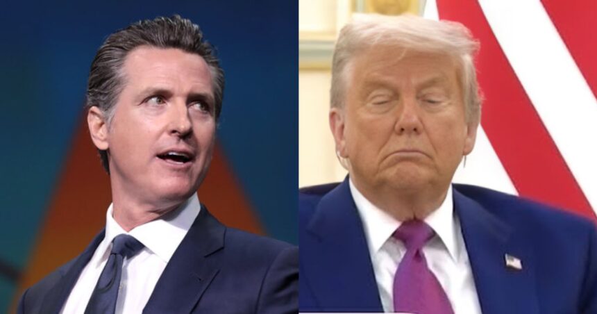 Gavin Newsom Trolls Donald Trump As He Dozes Off At White House Press Conference