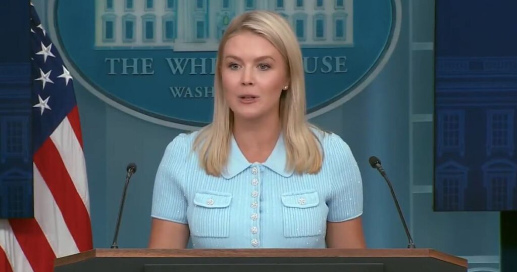 Karoline Leavitt receives flak over ICE arrest of her nephews’s mother.