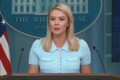 Karoline Leavitt receives flak over ICE arrest of her nephews’s mother.