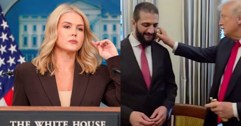 Karoline Leavitt, Donald Trump