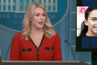 Latest Louisiana ICE detainee has an unexpected connection to Press Secretary Karoline Leavitt. (Main Image: @stepfanie|X.com). (Insert: @SpencerHakimian|X.com).