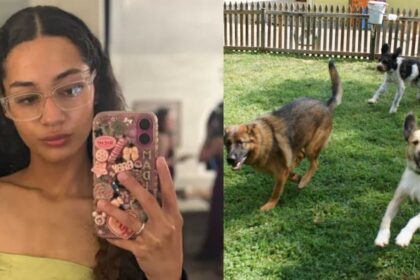 Madison Hull mauled by dogs