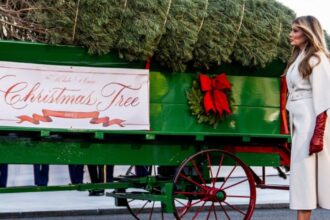 Melania Trump Receiving the Christmas Tree
