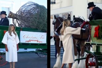 Melania Trump labeled as Christmas Grinch again (1)