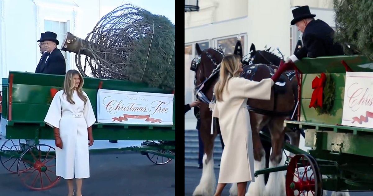 Melania Trump labeled as Christmas Grinch again (1)