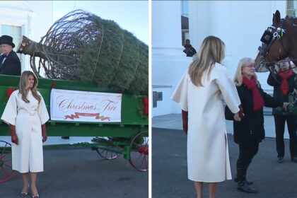 Melania Trump is Christmas ready.