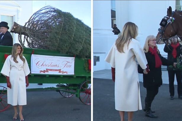 Melania Trump is Christmas ready.