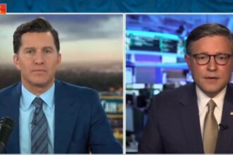 Mike Johnson on Fox News