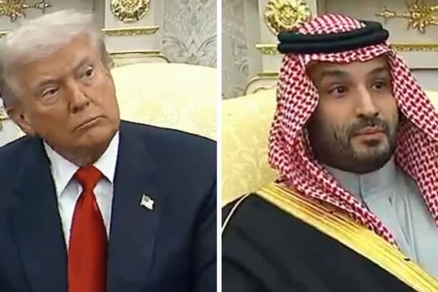 President Donald Trump clashes with an ABC reporter during Crown Prince Mohammed bin Salman’s Oval Office visit