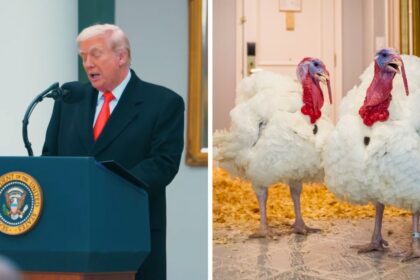 President Donald Trump pardons Thanksgiving turkeys Gobble and Waddle while adding a surprising religious punchline
