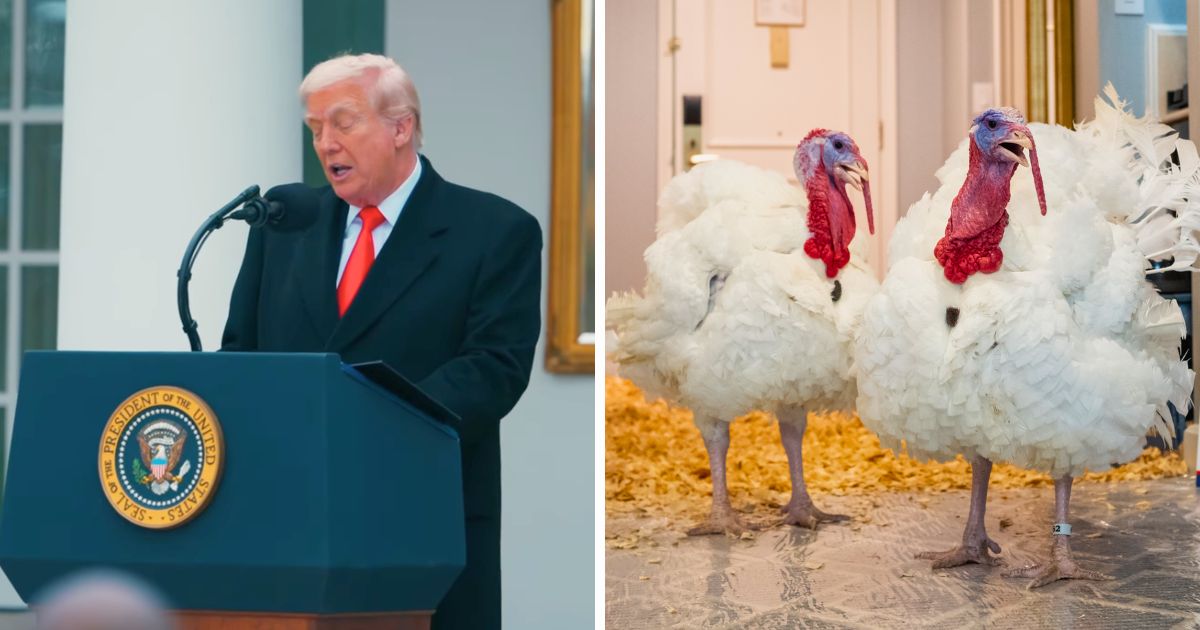 President Donald Trump pardons Thanksgiving turkeys Gobble and Waddle while adding a surprising religious punchline