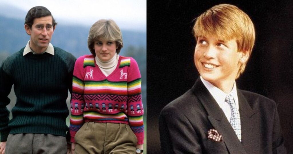 Sad Words from Prince William After King Charles and Princess Diana's divorce