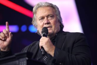 Steve Bannon, donald trump's former strategist