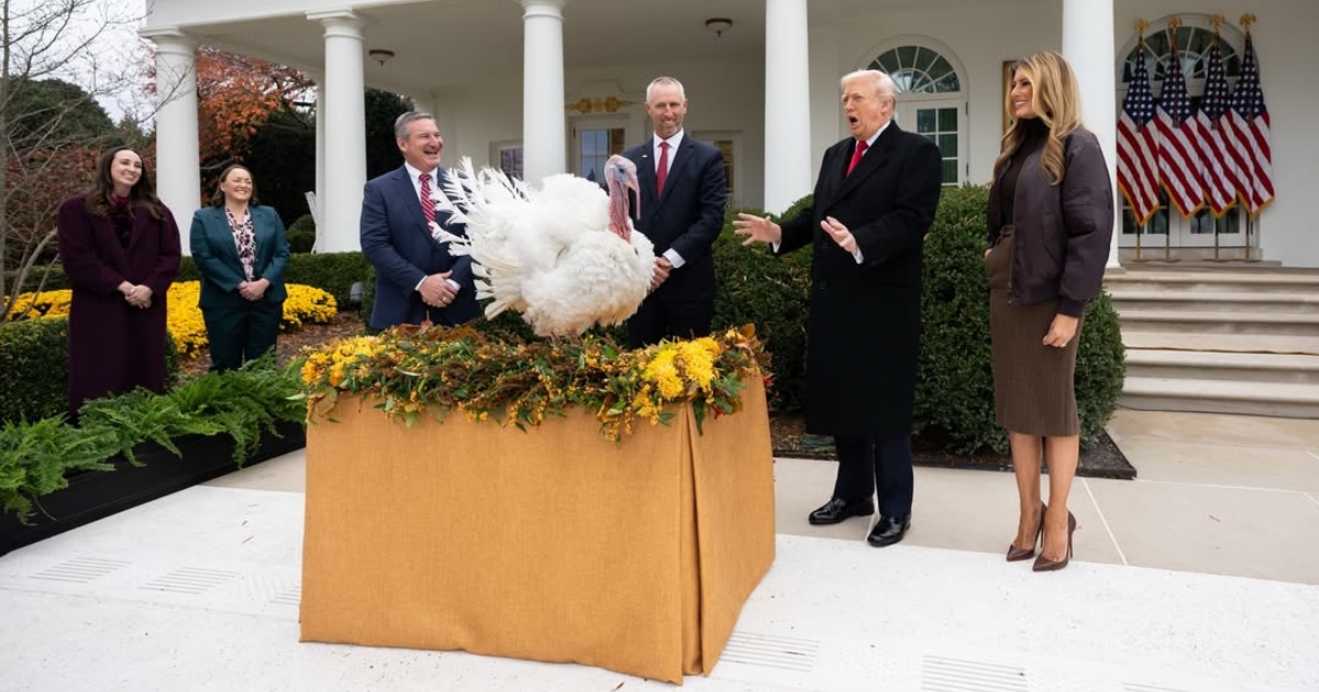 Donald and Melania Trump at the turkey pardoning event at the White House