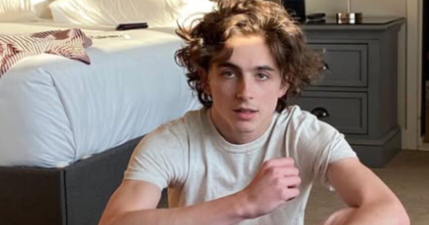 Timothée Chalamet