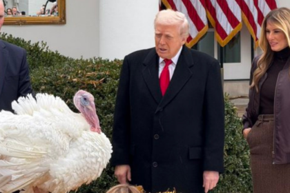 Donald Trump pardons Thanksgiving Turkey