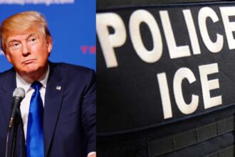 Trump has criticized ICE
