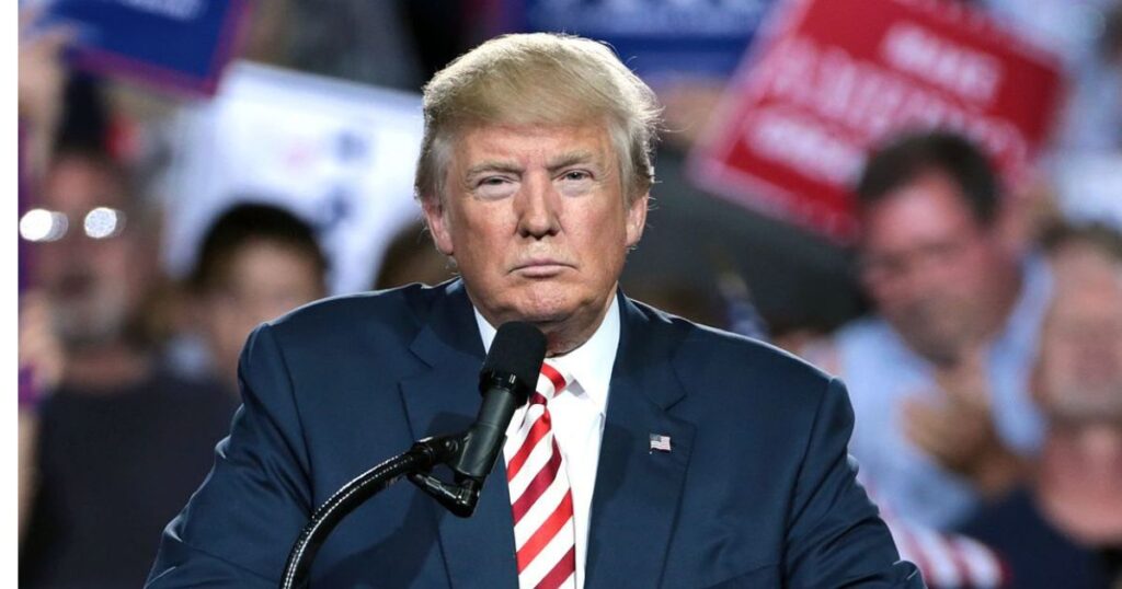 Trump's idea about Voter IDs is curious