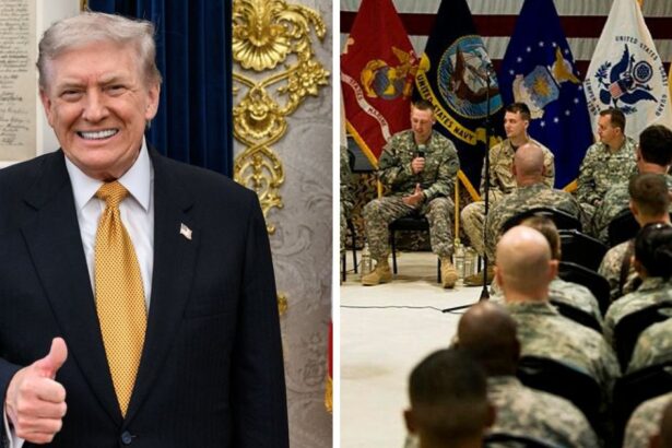 Donald Trump wants to change the name of Veterans Day