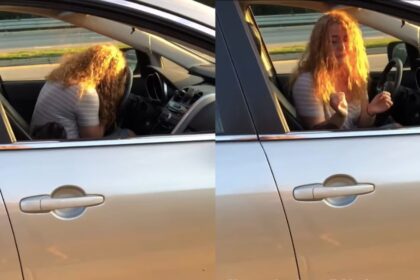 White woman throws a fit after crashing into black man's car